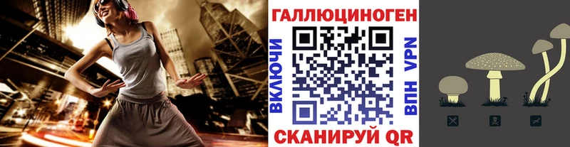 Галлюциногенные грибы прущие грибы  ссылка на мегу ссылка  Зерноград  хочу наркоту 