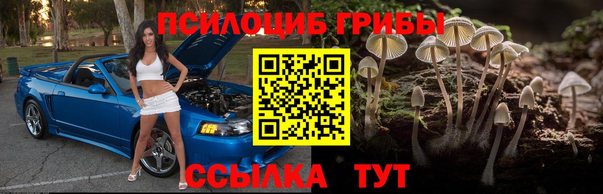 Галлюциногенные грибы ЛСД Зерноград