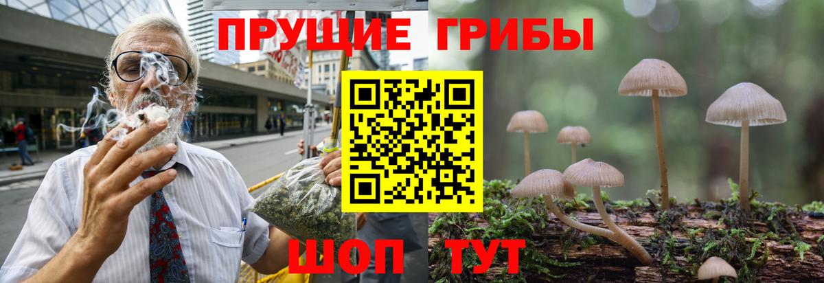 Галлюциногенные грибы ЛСД  Вход с VPN  Зерноград 